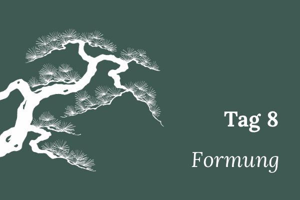 Illustration einer stilisierten Mädchenkiefer, Text „Tag 8 – Formung“