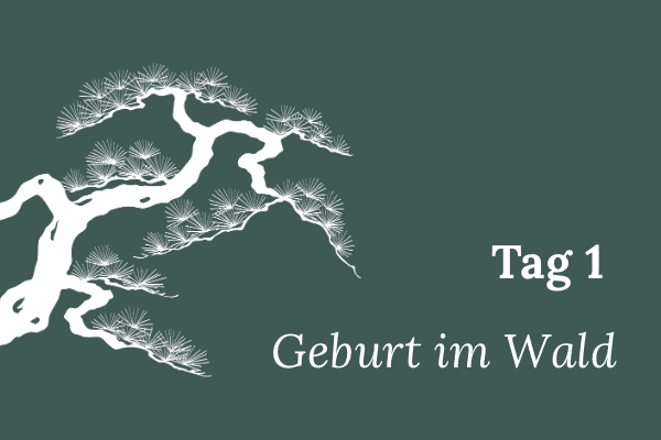 Illustration einer stilisierten Mädchenkiefer, Text „Tag 1 – Geburt im Wald“.