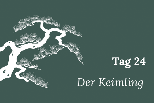Illustration einer stilisierten Mädchenkiefer, Text „Tag 24 – Keimling“